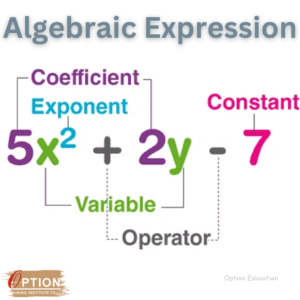 Algebraic Expression